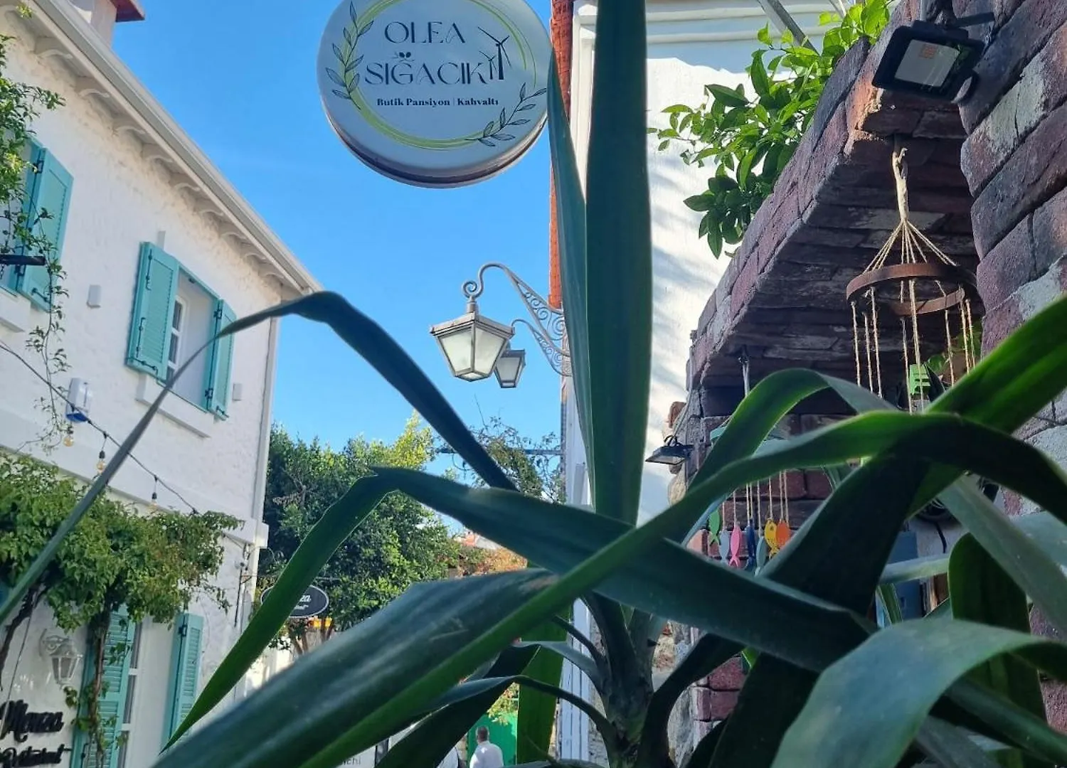 Olea Sigacik Pansiyon & Bistro Seferihisar Hotel
