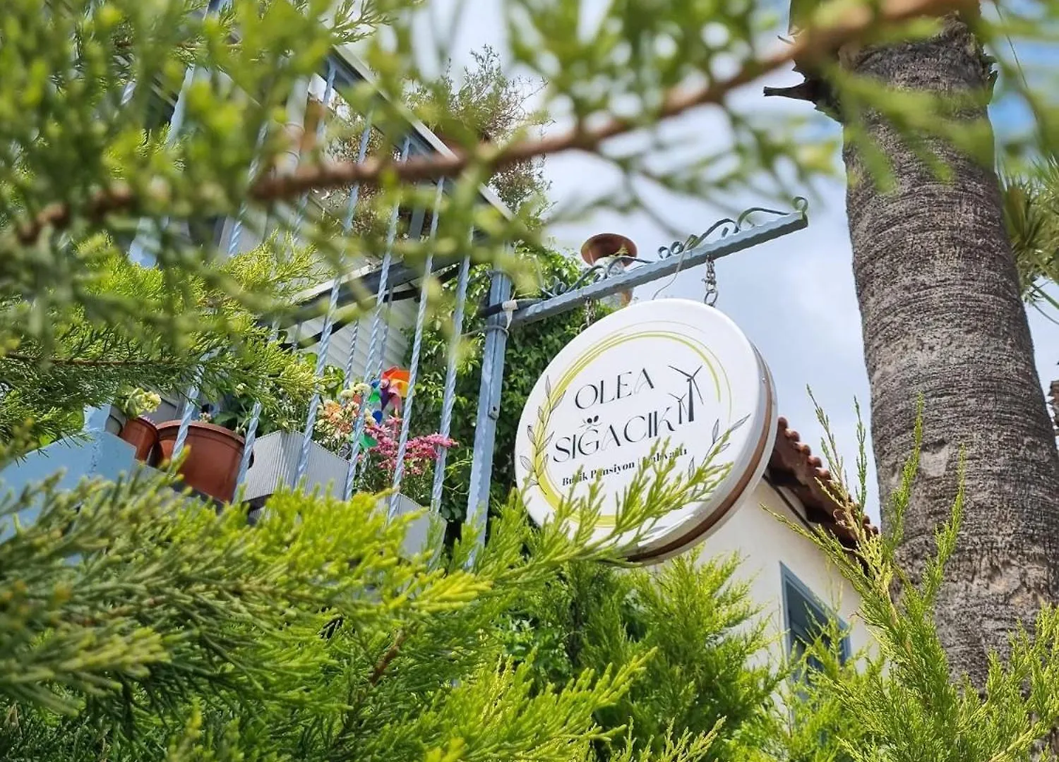 Olea Sigacik Pansiyon & Bistro Seferihisar